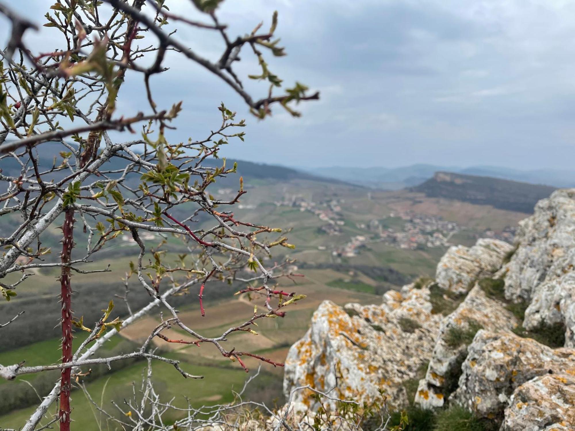La Tablee Medievale Civrieux-dʼAzergues Exteriör bild