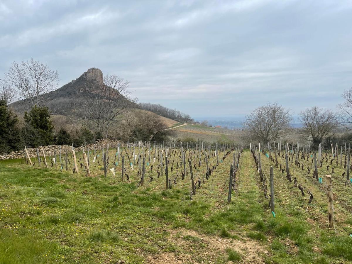 La Tablee Medievale Civrieux-dʼAzergues Exteriör bild